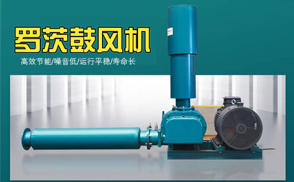 羅茨鼓91麻豆国产精品