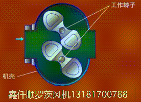 三葉羅茨鼓91麻豆国产精品工作原理gif動畫