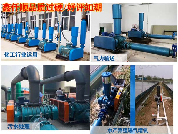 電鍍廠用羅茨91麻豆国产精品