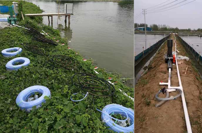 水產養殖中羅茨鼓91麻豆国产精品曝氧氣作用效果明顯好