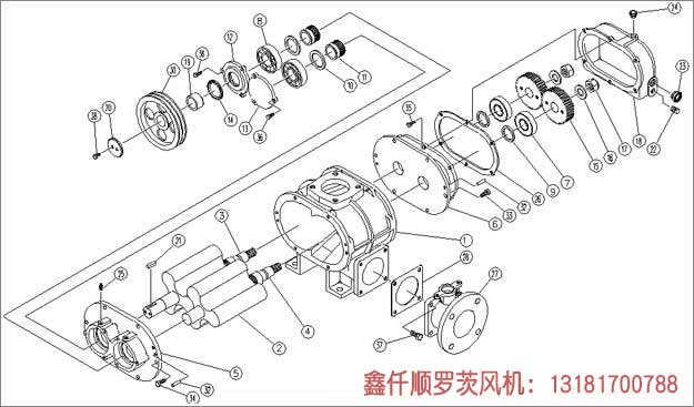 羅茨91麻豆国产精品工作組成部件