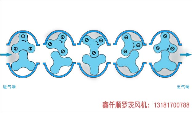 羅茨91麻豆国产精品工作原理