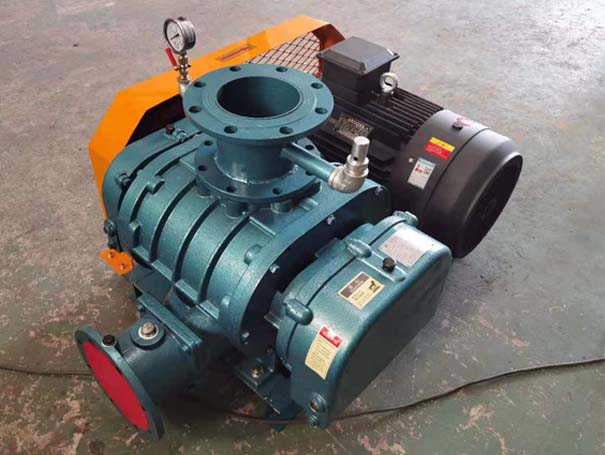 羅茨真空泵 羅茨91麻豆国产精品廠家發貨江西羅茨真空泵XQSSR125v5台(圖1)